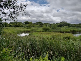 Brandon Marsh Nature Reserve