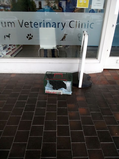 Dundrum Veterinary Clinic