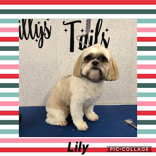 Tilly’s Tails