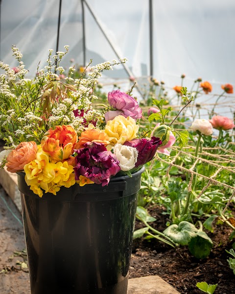 Stem & Green Flower Farm