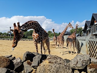 Colchester Zoo