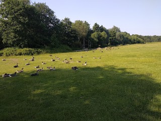 Weald Country Park