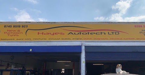 Hayes Autotech LTD