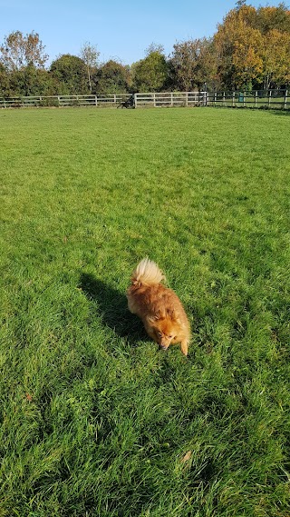 Dog Run Park Griffeen Valley