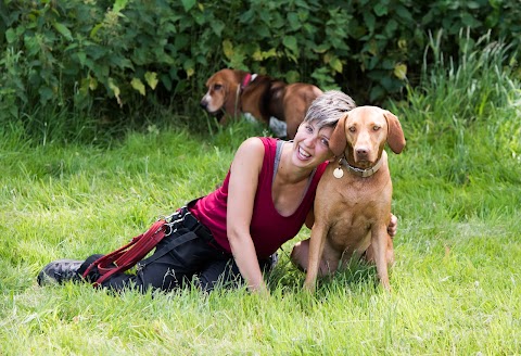 Pack Buddies Doggy Daycare Southampton