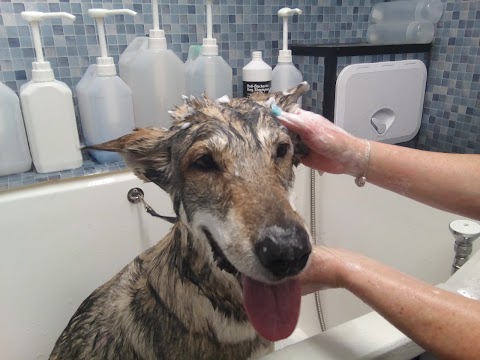 Doggy Style Mobile Grooming