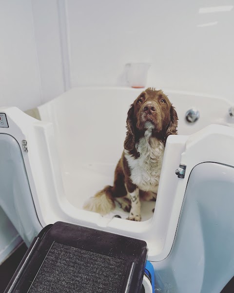 High Lane Hydrotherapy Ltd - Canine Services