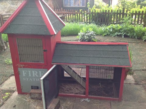 Andrew's Hedgehog Hospital