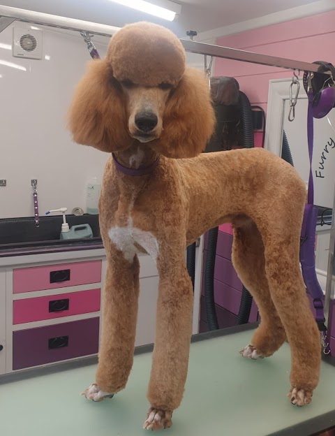 Furry Charm Dog Groomer