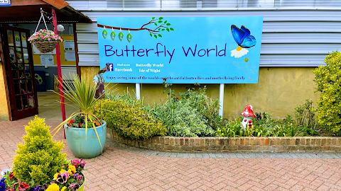 Butterfly World IOW