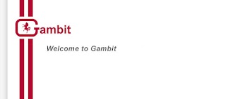 Gambit Enterprises Ltd