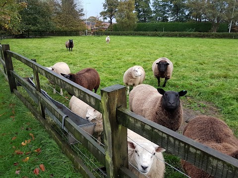 Bank Farm Cottages