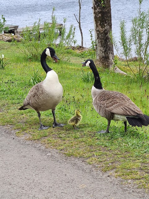 Parc Bryn Bach