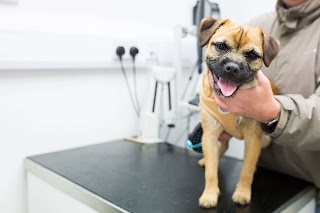 Blacklion Pet Hospital | The Greystones Pet Vet