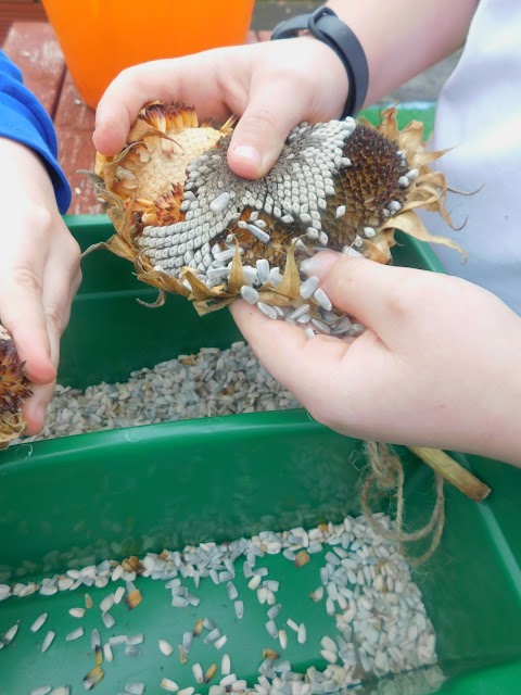 Stanstead Primary & Nursery School