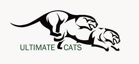 INDEPENDENT JAGUAR SERVICE CENTRE - Ultimate Cats Ltd