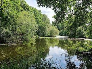 Spa ponds Forest town