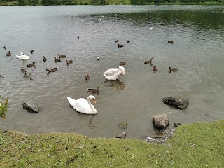 Broadwood Loch