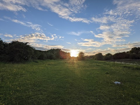 Park Lime Pits Local Nature Reserve