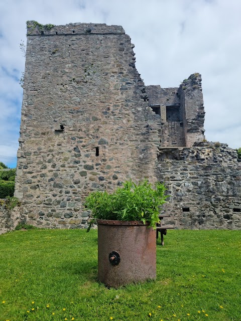 Quoile Castle