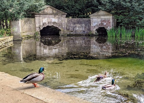 National Trust - Prior Park Landscape Garden