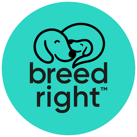 Breed Right K9 Clinic