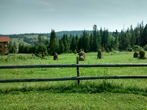 Садиба «ЛАСОЧКА»