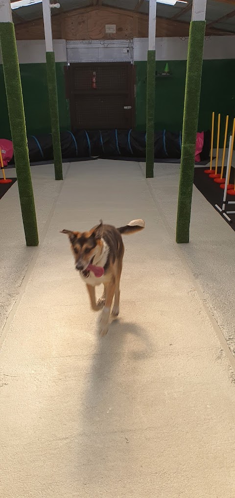 Beseeka Boarding Kennels