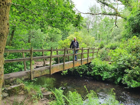 Penllergaer Valley Woods