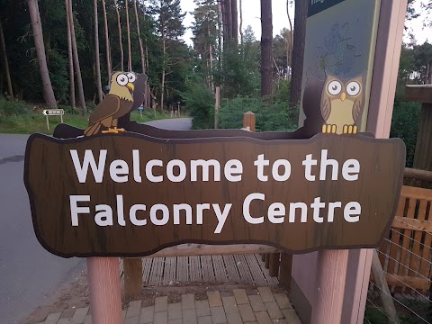 Falconry Centre