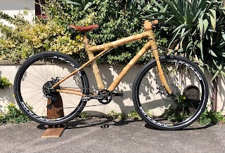 BEAMZ- Custom wooden bikes