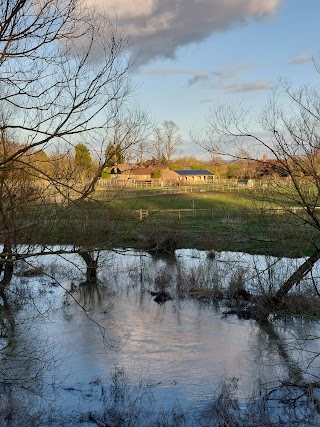 The Hurst Water Meadow Trust