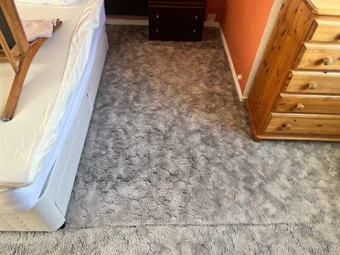 Property Clean Carpet Cleaning Services