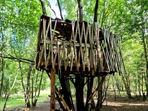 The Childrens Wood and North Kelvin Meadow