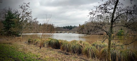 Portnall Park, Virginia Water