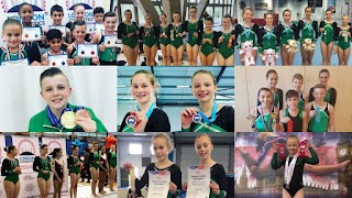 Sutton School of Gymnastics