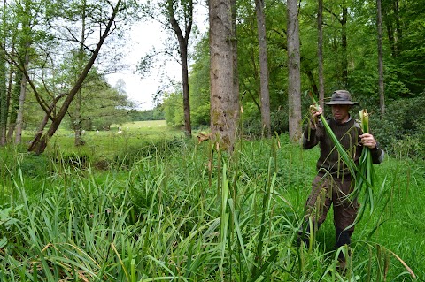 Adhurst Yurts + Adhurst Institute for Artisan and Outdoor Skills