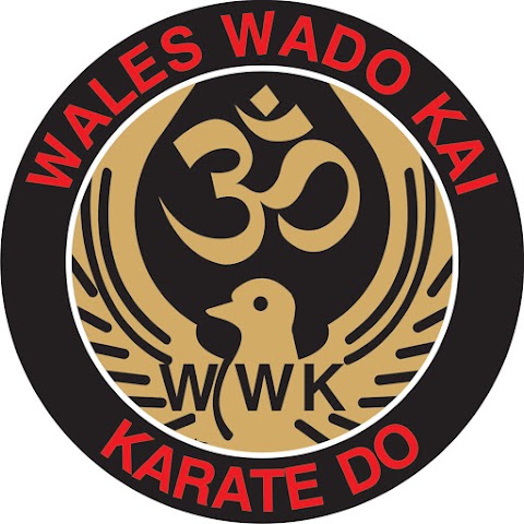 Swansea karate classes for kids and adults in swansea wales