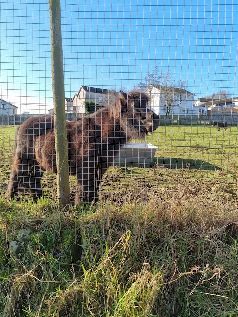 Lamont Farm Project