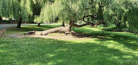 Clarence park