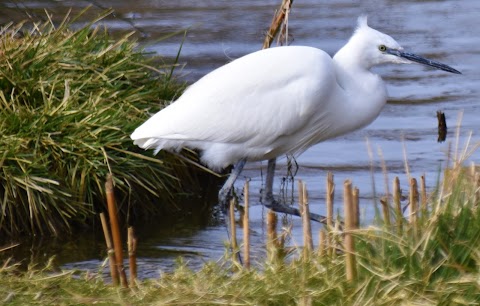 The Anglian Water Bird Watching Centre
