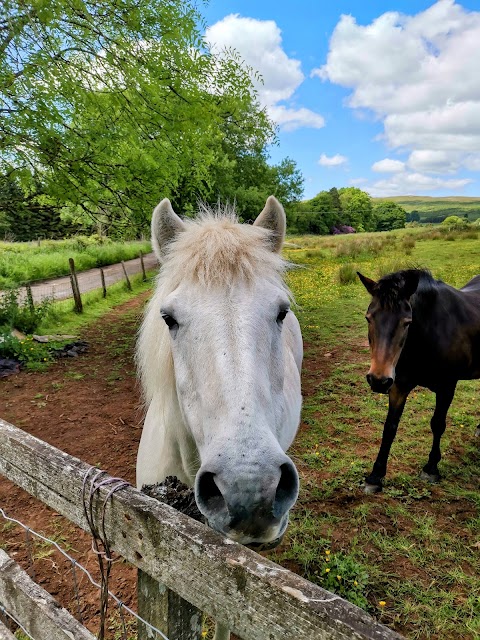 Cochno Farm