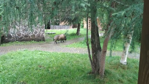 Готельний Комплекс "Ведмідь"