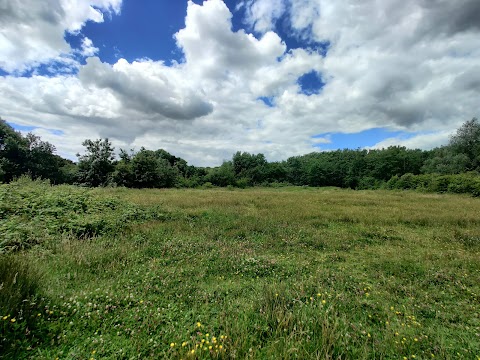 Howardian Local Nature Reserve