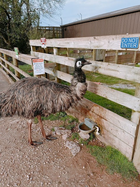 South Lakes Safari Zoo