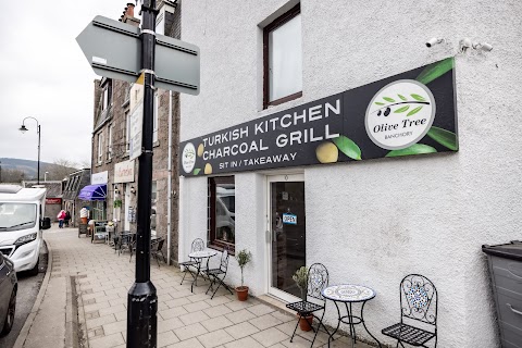 olive tree banchory