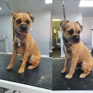 Patch's Dog Grooming Parlour