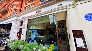 Kai Mayfair