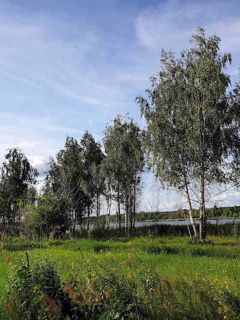 Дачний масив Мотозаводські дачі "Середні сади"