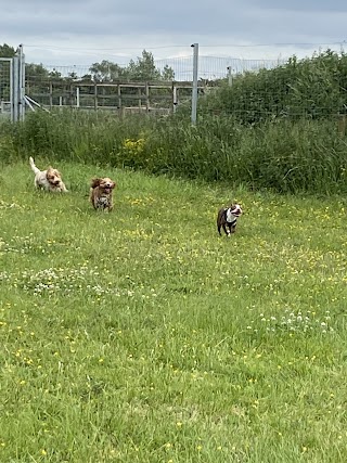 Westhoughton Dog Park